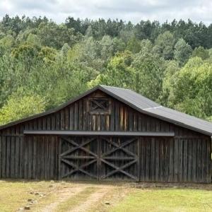 Photo #24 of 1471 New Bethel Road, Meherrin, VA 20.3 acres