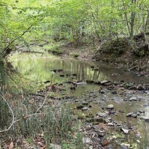 Photo #26 of 1471 New Bethel Road, Meherrin, VA 20.3 acres
