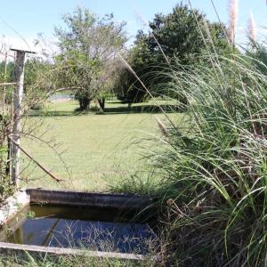 Photo #35 of 1473 Old Ridge Road, Farmville, VA 2.5 acres