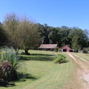 Photo #38 of 1473 Old Ridge Road, Farmville, VA 2.5 acres