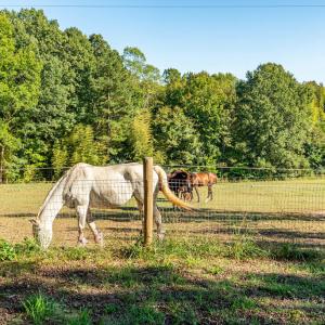 Photo #47 of 8587 Scuffletown Rd, Randolph, VA 12.9 acres