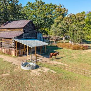 Photo #51 of 8587 Scuffletown Rd, Randolph, VA 12.9 acres