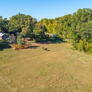 Photo #52 of 8587 Scuffletown Rd, Randolph, VA 12.9 acres
