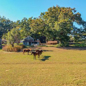 Photo #53 of 8587 Scuffletown Rd, Randolph, VA 12.9 acres