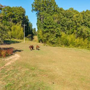 Photo #54 of 8587 Scuffletown Rd, Randolph, VA 12.9 acres