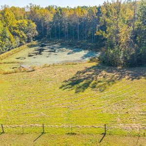 Photo #58 of 8587 Scuffletown Rd, Randolph, VA 12.9 acres
