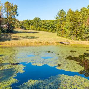 Photo #59 of 8587 Scuffletown Rd, Randolph, VA 12.9 acres