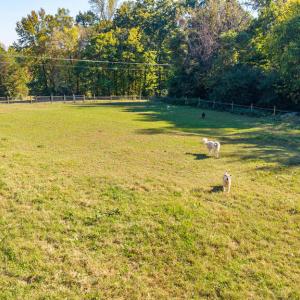 Photo #62 of 8587 Scuffletown Rd, Randolph, VA 12.9 acres