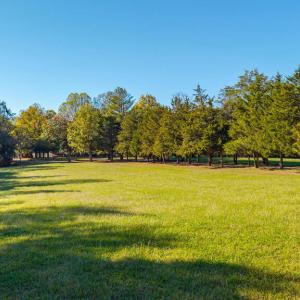 Photo #57 of 4733 Red House Rd, Phenix, VA 20.0 acres