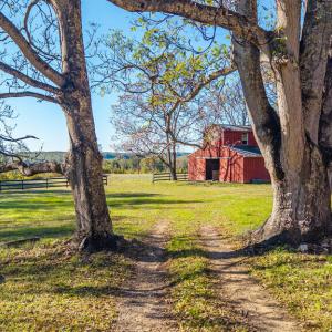 Photo #71 of 4733 Red House Rd, Phenix, VA 20.0 acres