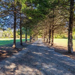 Photo #74 of 4733 Red House Rd, Phenix, VA 20.0 acres