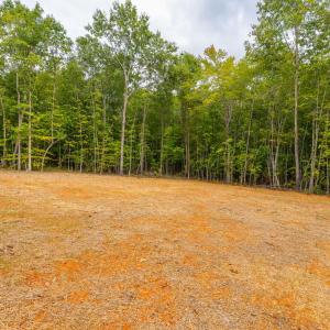 Photo #39 of 157 Patteson Rd, Buckingham, VA 5.0 acres