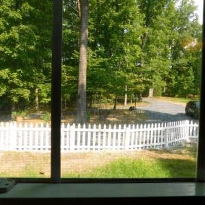 Photo #16 of 201 Deer Run, Farmville, VA 14.8 acres