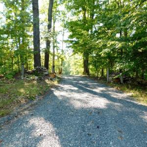 Photo #3 of 201 Deer Run, Farmville, VA 14.8 acres