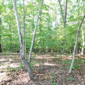 Photo #39 of 201 Deer Run, Farmville, VA 14.8 acres