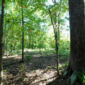 Photo #40 of 201 Deer Run, Farmville, VA 14.8 acres