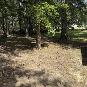 Photo #7 of 802 Bizzarre, Farmville, VA 0.7 acres
