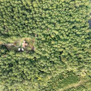 Photo #2 of 405 Washout Rd, Keysville, VA 9.5 acres