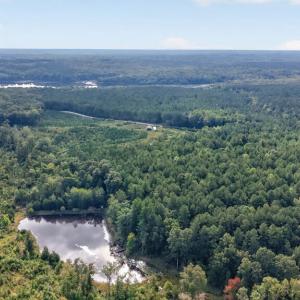 Photo #53 of 405 Washout Rd, Keysville, VA 9.5 acres