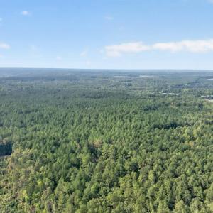 Photo #54 of 405 Washout Rd, Keysville, VA 9.5 acres