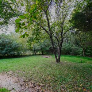 Photo #4 of 217 Woodrow Ave, Farmville, VA 0.2 acres