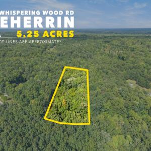 Photo #3 of 216 Whispering Wood Rd, Meherrin, VA 5.3 acres