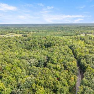 Photo #41 of 216 Whispering Wood Rd, Meherrin, VA 5.3 acres