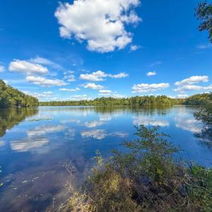 Photo #54 of 5258 Cottage Road, Blackstone, VA 7.8 acres