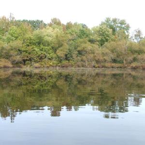 Add'l view of pond