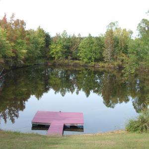 Add'l view of pond w/floating dock