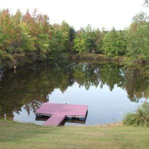 Another view of pond