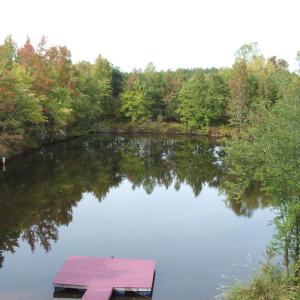 Another view of pond