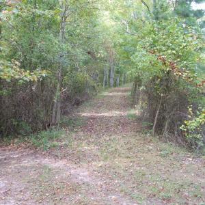 Path across dam