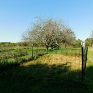 Photo #28 of 2515 Jerico Rd, Buckingham, VA 10.0 acres