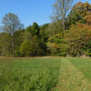 Photo #33 of 2515 Jerico Rd, Buckingham, VA 10.0 acres