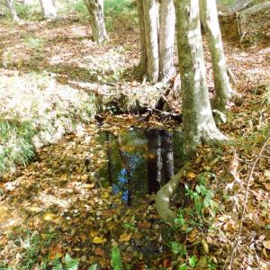 Photo #35 of 2515 Jerico Rd, Buckingham, VA 10.0 acres