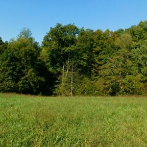 Photo #36 of 2515 Jerico Rd, Buckingham, VA 10.0 acres