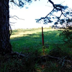 Photo #40 of 2515 Jerico Rd, Buckingham, VA 10.0 acres