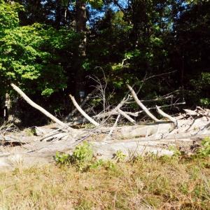 Photo #41 of 2515 Jerico Rd, Buckingham, VA 10.0 acres