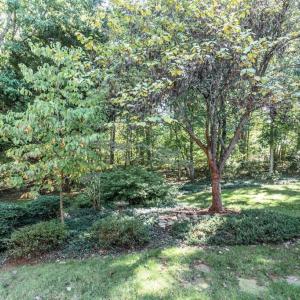 Photo #59 of 158 Hickory Lane, Appomattox, VA 0.8 acres