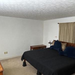 Photo #9 of 1109 Browns Trail, Clover, VA 8.9 acres