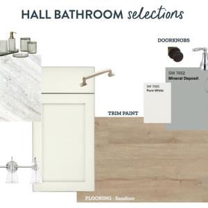 Bathroom, Hall Bathroom Design Selections