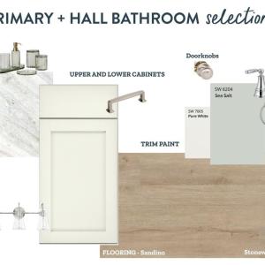 Primary Bathroom, Primary and Hall Bathroom Design Selections