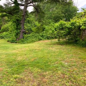 Photo #3 of 8507 FLEMING ROAD, WALLOPS ISLAND, VA 70.0 acres