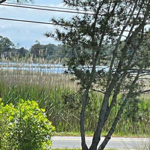 Photo #37 of 7205 BUNTING RD, CHINCOTEAGUE, VA 0.1 acres