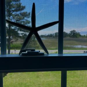 Photo #54 of 7205 BUNTING RD, CHINCOTEAGUE, VA 0.1 acres