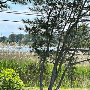 Photo #57 of 7205 BUNTING RD, CHINCOTEAGUE, VA 0.1 acres