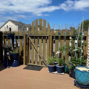 Photo #64 of 7205 BUNTING RD, CHINCOTEAGUE, VA 0.1 acres