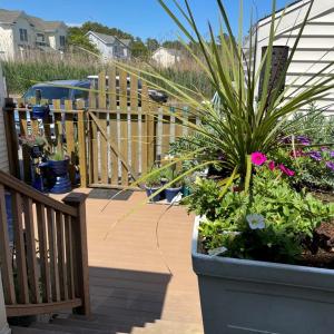 Photo #65 of 7205 BUNTING RD, CHINCOTEAGUE, VA 0.1 acres