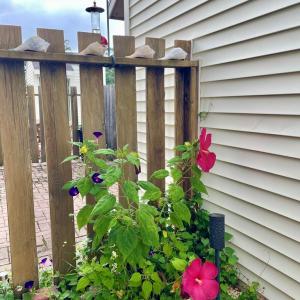 Photo #87 of 7205 BUNTING RD, CHINCOTEAGUE, VA 0.1 acres